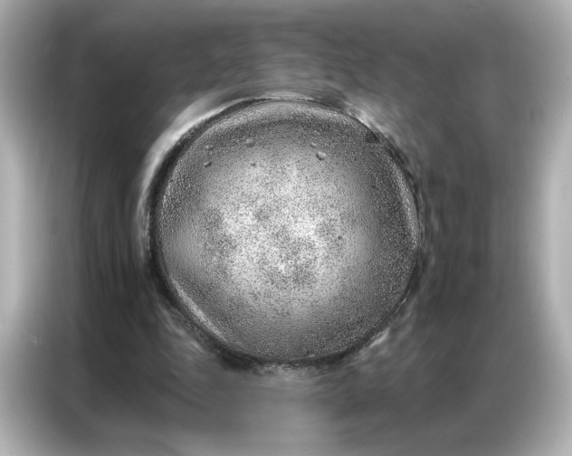 X0000086980343200704301322