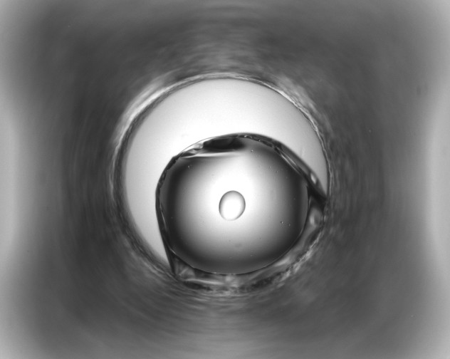 X0000086980344200704301322