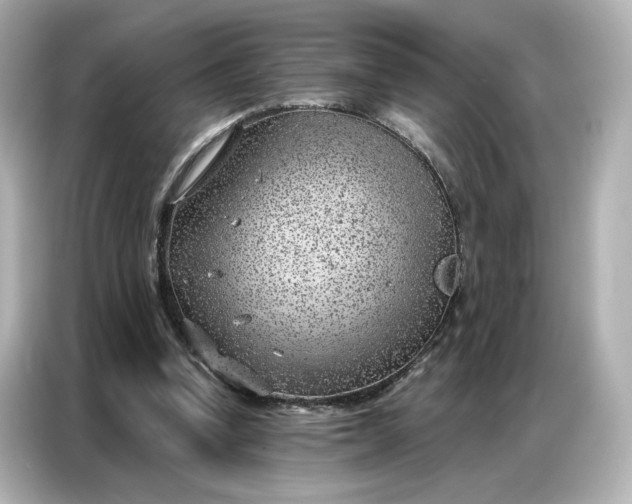 X0000086980346200704301322