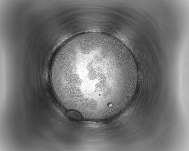 X0000086980347200704301322