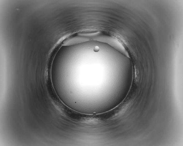 X0000086980348200704301322