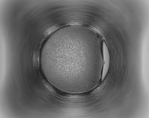 X0000086980349200704301322