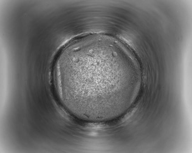 X0000086980351200704301322