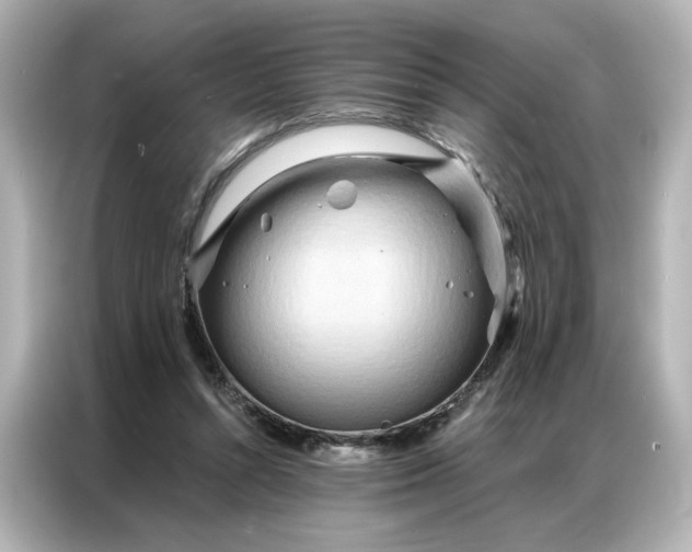 X0000086980352200704301322