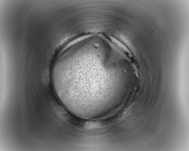 X0000086980354200704301322