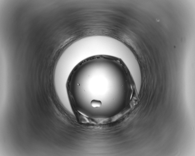 X0000086980356200704301322