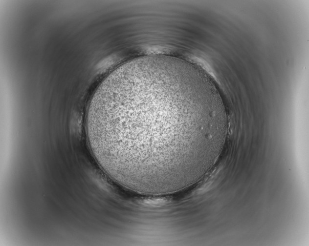 X0000086980357200704301322