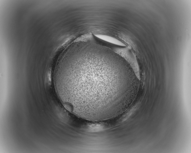 X0000086980358200704301322