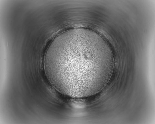 X0000086980359200704301322