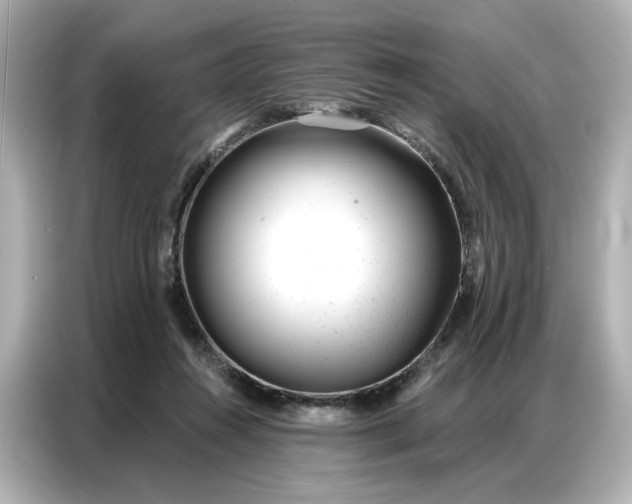 X0000086980360200704301322