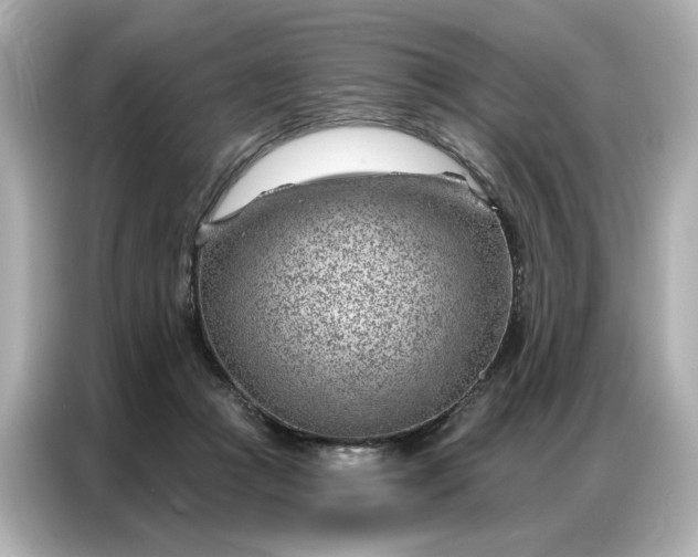 X0000086980361200704301322