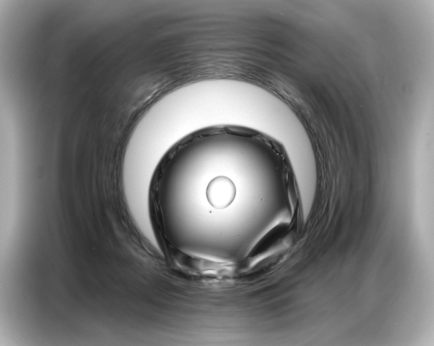 X0000086980362200704301322