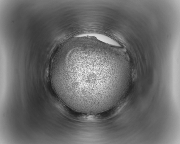 X0000086980365200704301322