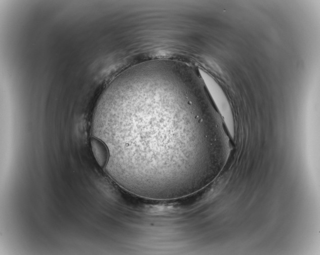 X0000086980366200704301322