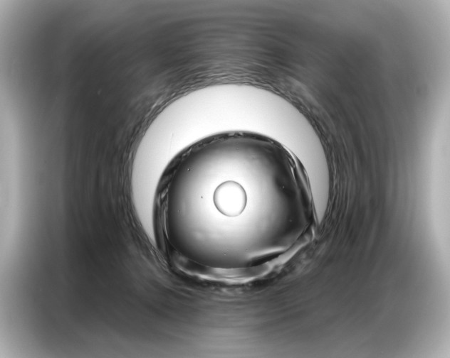 X0000086980368200704301322