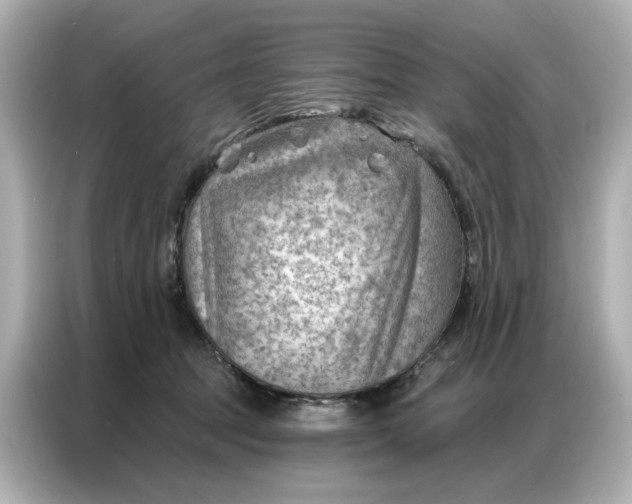 X0000086980369200704301322