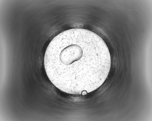 X0000086980370200704301322