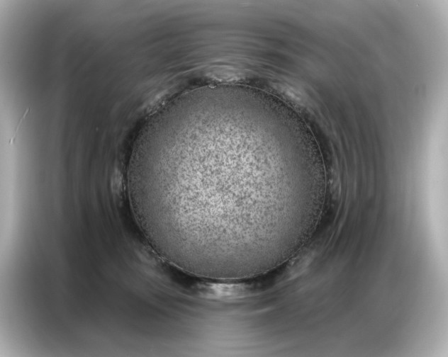 X0000086980371200704301322