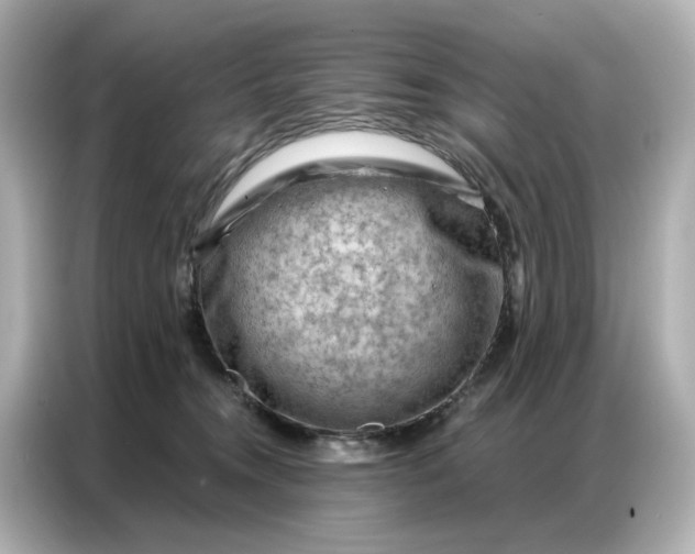 X0000086980372200704301322