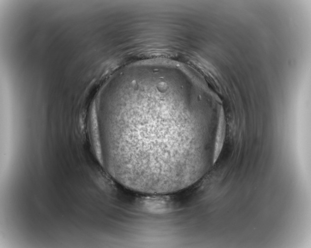 X0000086980373200704301322