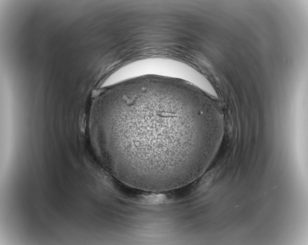 X0000086980374200704301322