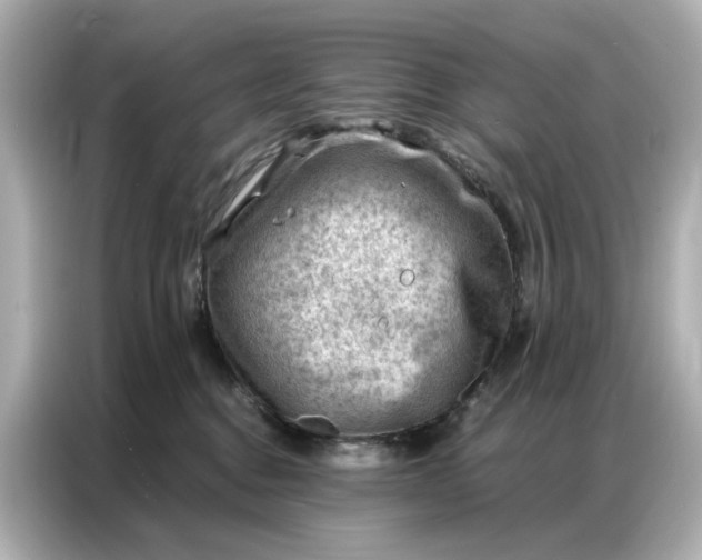 X0000086980376200704301322