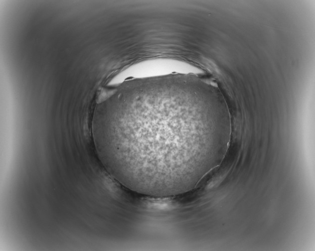 X0000086980377200704301322