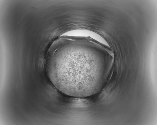 X0000086980379200704301322