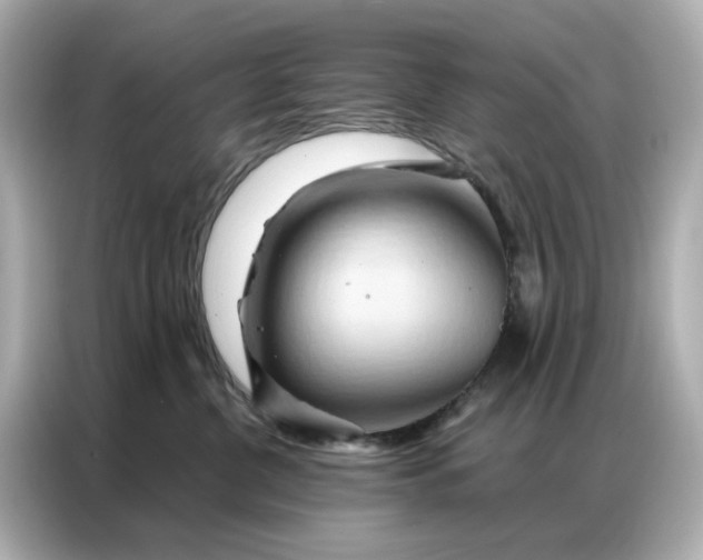 X0000086980380200704301322