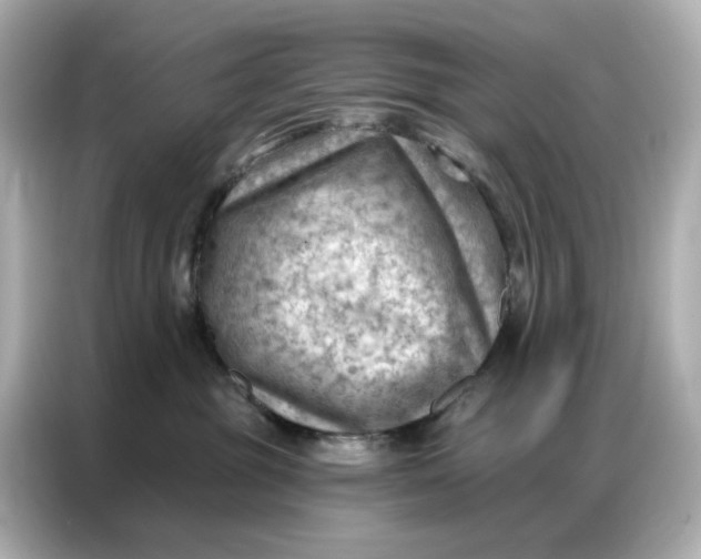 X0000086980381200704301322