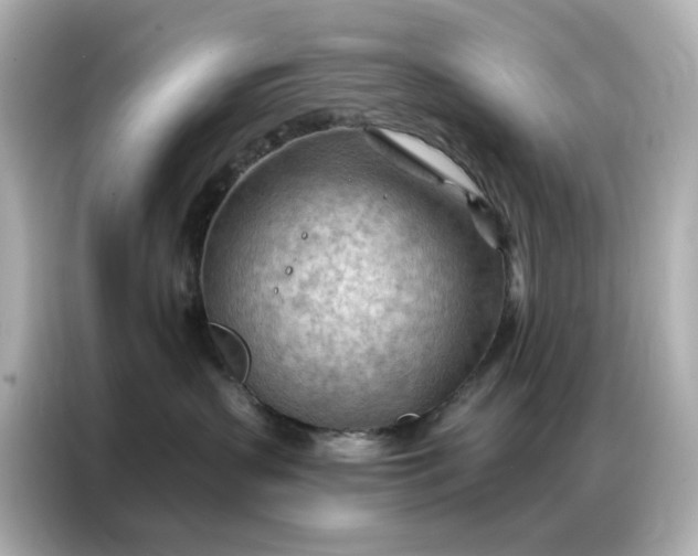 X0000086980383200704301322