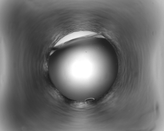 X0000086980384200704301322