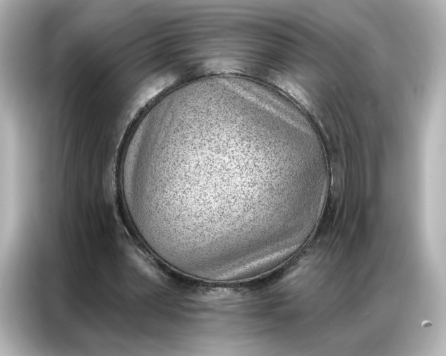 X0000086980390200704301322