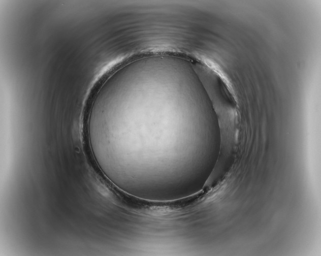 X0000086980391200704301322