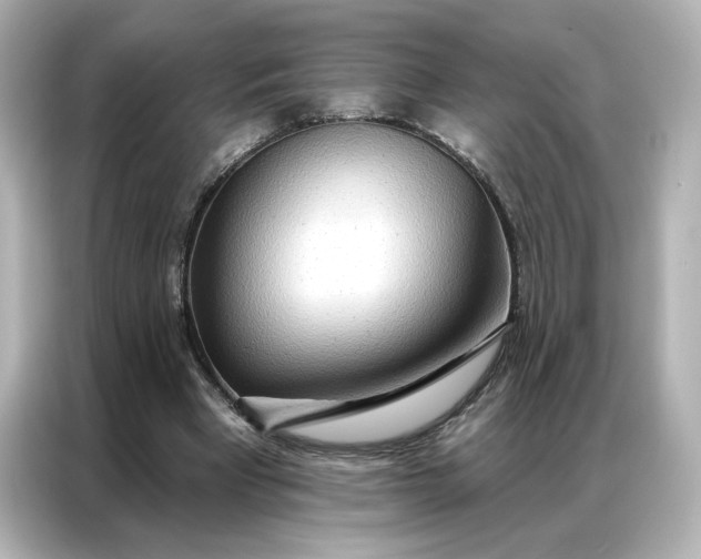 X0000086980393200704301322