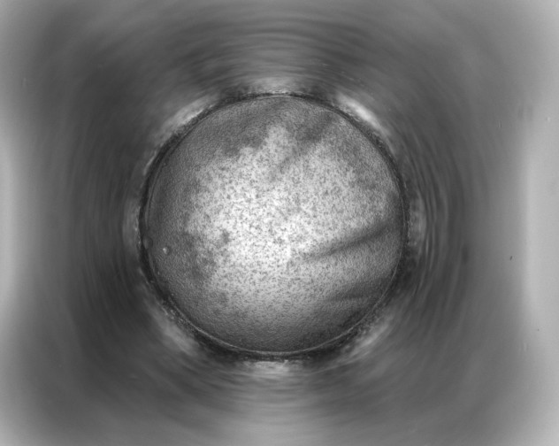 X0000086980394200704301322