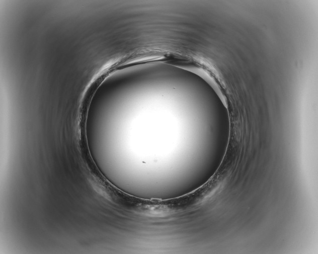 X0000086980395200704301322