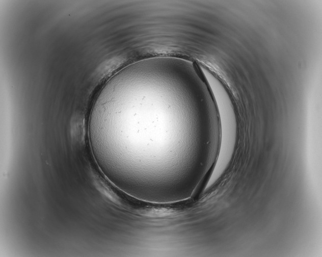 X0000086980397200704301322