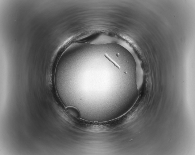 X0000086980399200704301322