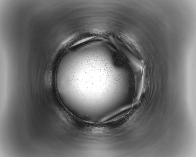 X0000086980400200704301322