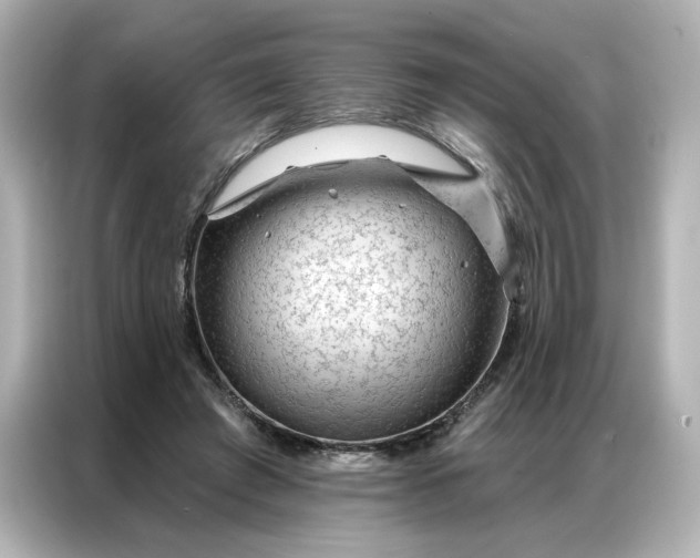 X0000086980401200704301322