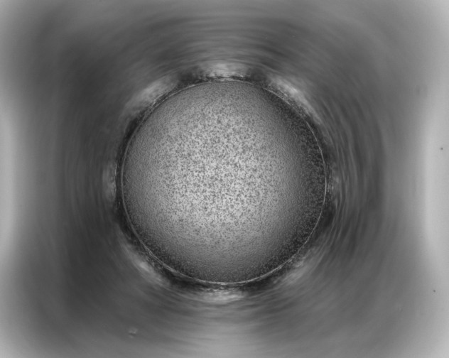 X0000086980402200704301322