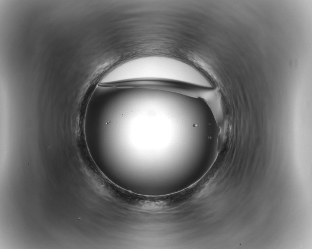 X0000086980403200704301322