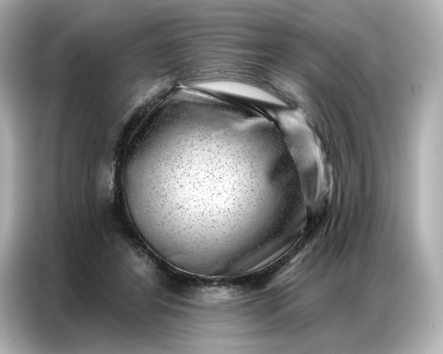 X0000086980404200704301322