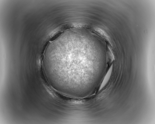 X0000086980405200704301322