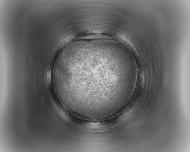 X0000086980406200704301321