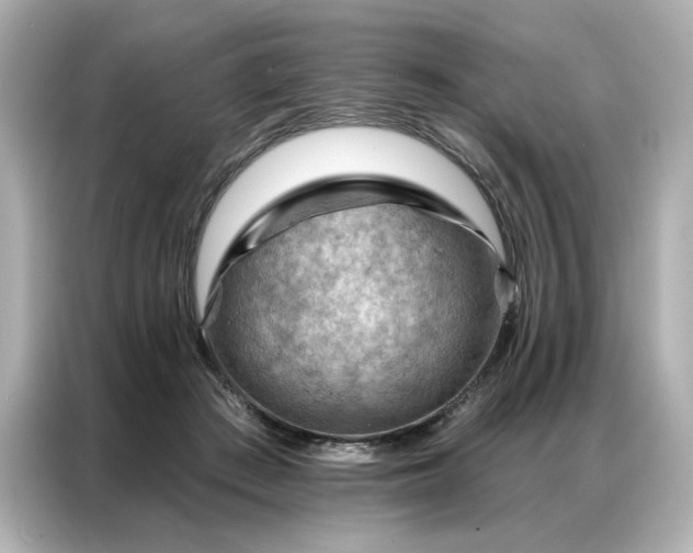 X0000086980409200704301321