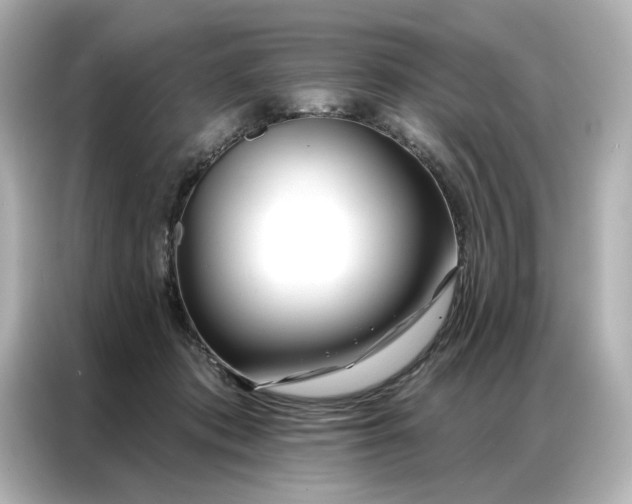 X0000086980413200704301321