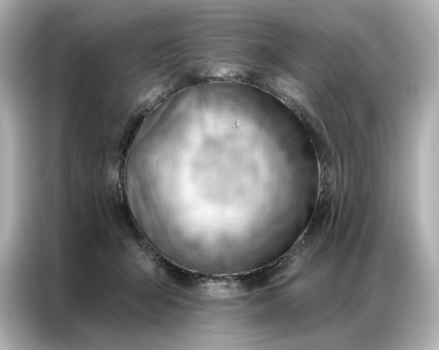 X0000086980415200704301321