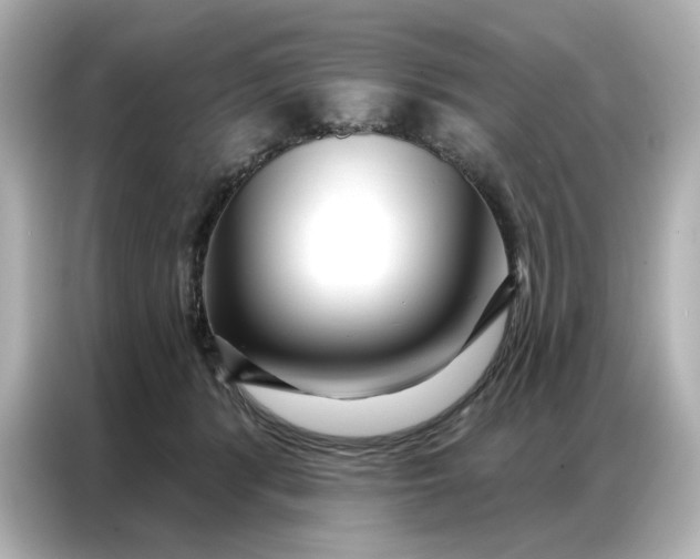 X0000086980416200704301321